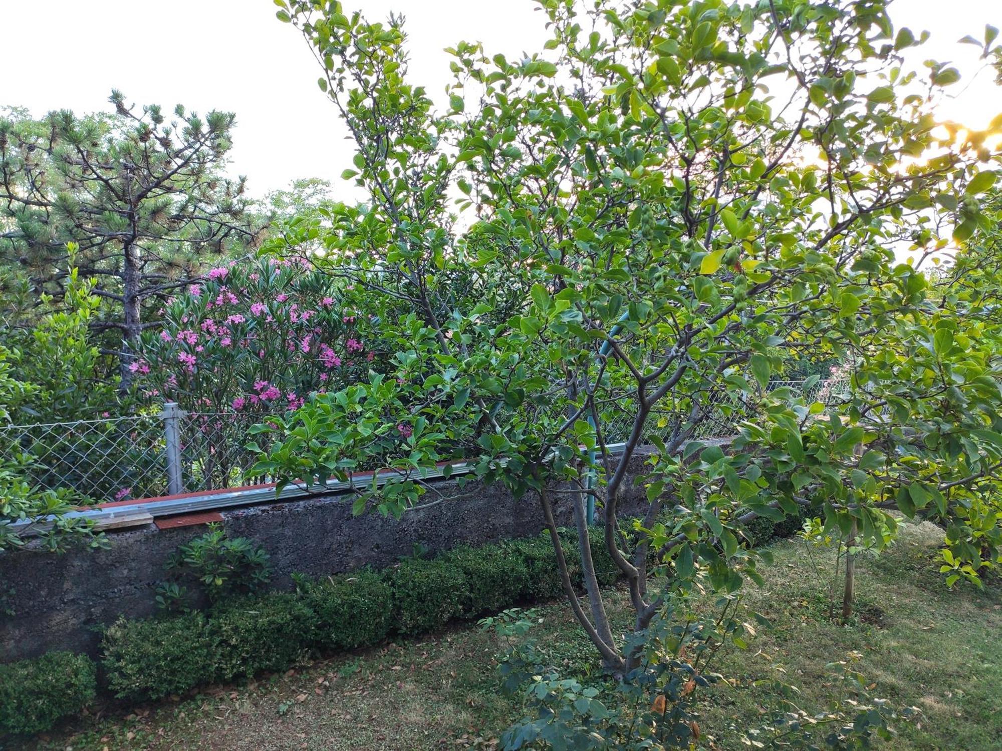 Apartment With Private Garden And The Terrace Ev Station Available Crikvenica Extérieur photo